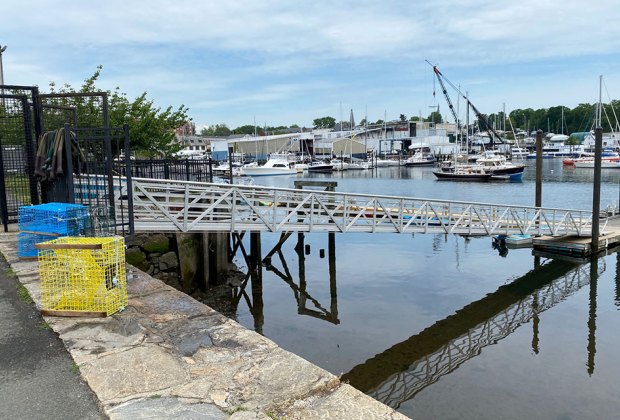 A wide view of the harbor at the marine education center