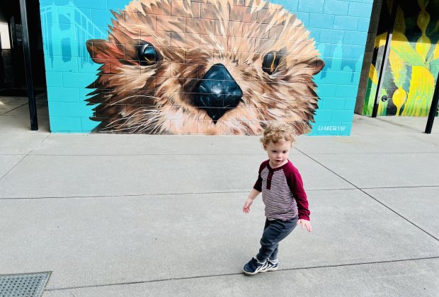 Free Things To Do in San Francisco: The Marine Mammal Center