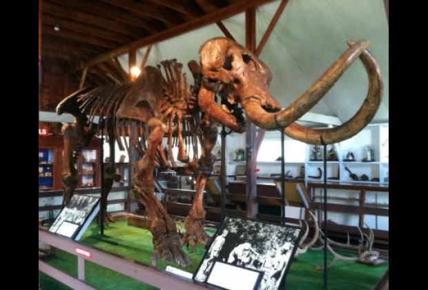 Living History Museums Near NYC: 3 Day Trips for Families ...