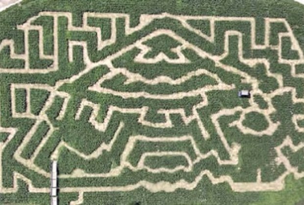 amazing maze jersey amazing maze jersey