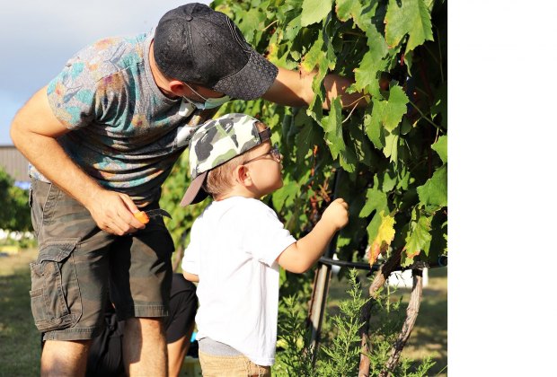 family friendly wineries near me