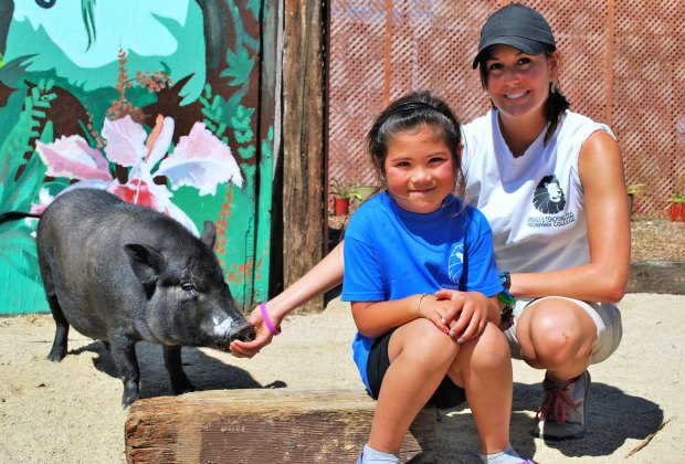 America's Teaching Zoo at Moorpark College: Up-Close Animal Encounters for LA Kids