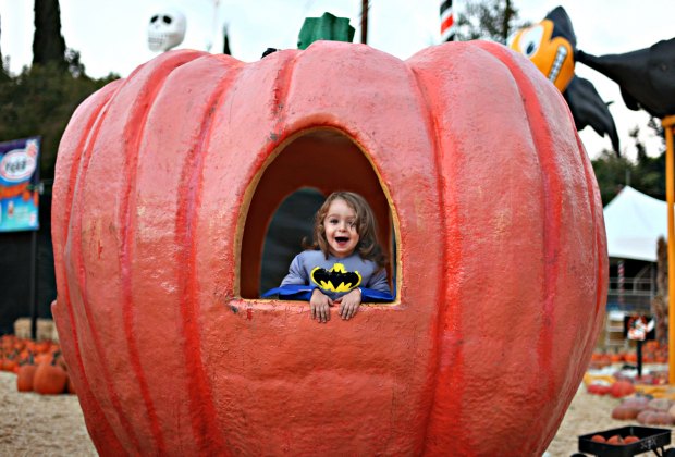 Grote pompoen bij Mr. Bones Pumpkin Patch