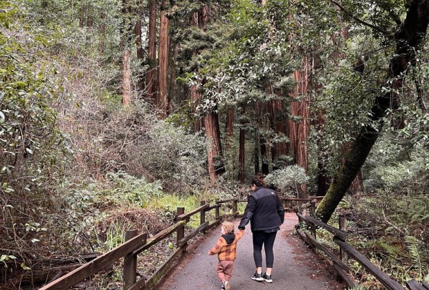 Hikes in San Francisco: Muir Woods National Monument