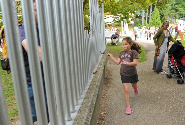 The deCordova: An Art Museum That's Just Right for Families