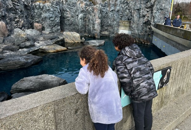 Image of kids at Mystic Aquarium - Winter Day Trips in Connecticut