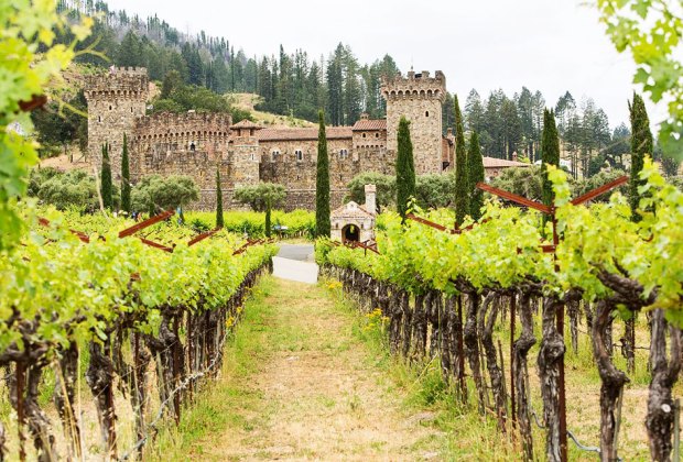 Kid-Friendly Wineries in Napa, Sonoma, and the San Francisco Bay Area: : Castello di Amorosa