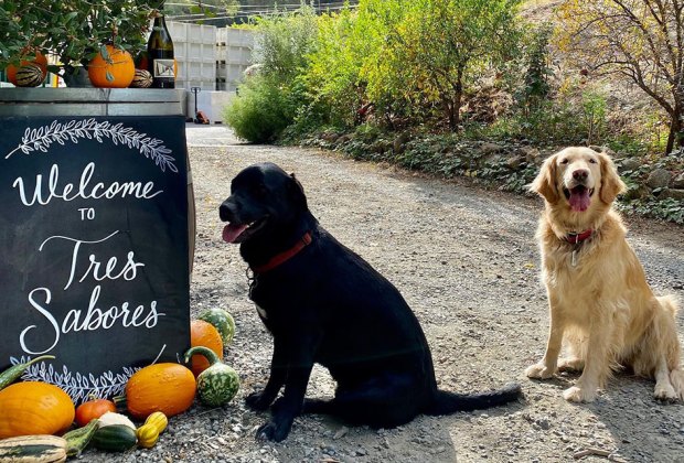 Kid-Friendly Wineries in Napa, Sonoma, and the San Francisco Bay Area: Tres Sabores