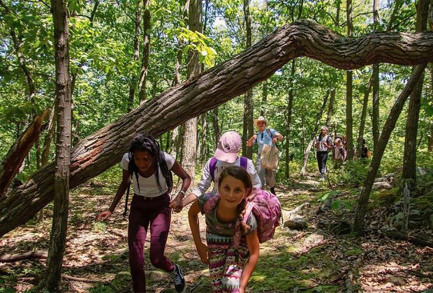 Summer Camps with Availability for Westchester Kids The Nature Place Day Camp is one of several that still have openings for summer 2019! Photo courtesy of the camp