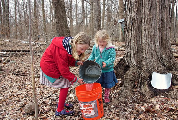 sugaring canaan