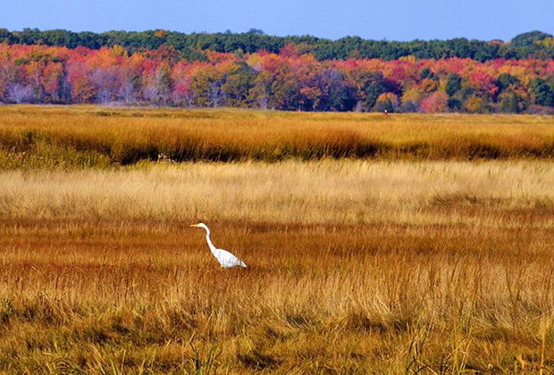 Image of Newburyport marshes - best fall day trips from Boston