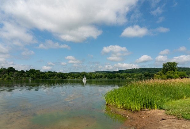 Kid-friendly fishing near New Jersey Spruce Run Recreation Area