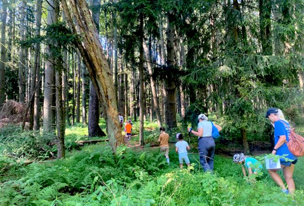 Birthday Party Places for Preschoolers : Rancocas Nature Center