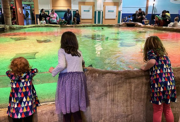 Feel sting rays at the Adventure Aquarium