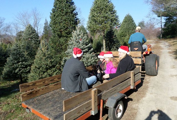 Fosters Holly Ridge Tree Farm people take a ride in tractor trailer on a christmas tree farm