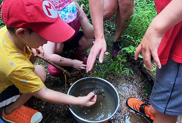 NJ: Visiting the Nature Center at Rancocas