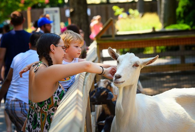 Cape May County Zoo: 70 Things To Do with Kids at the Jersey Shore