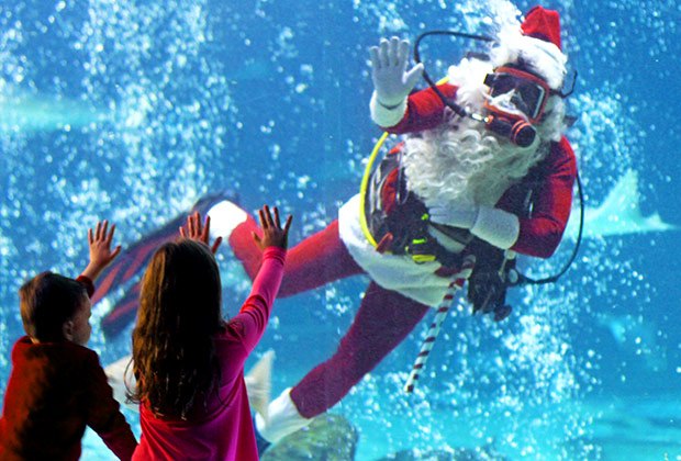 Whats Open On Christmas Day In New Jersey Fun Things To Do