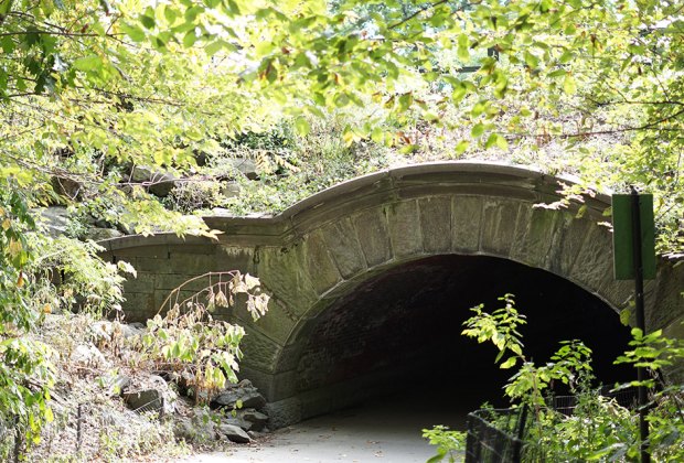 Central Park with kids North Woods Bridge