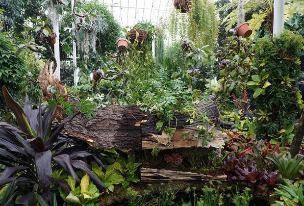 Wonderland: Curious Nature at NYBG