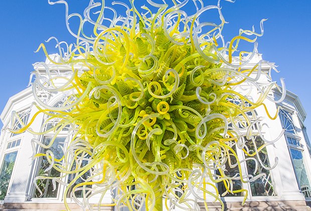 Chihuly Glass Sculptures Dazzle at NY Botanical Garden