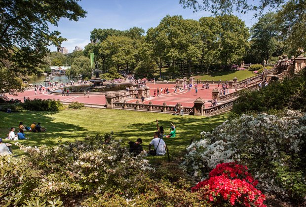 Things to do in NYC: Central Park