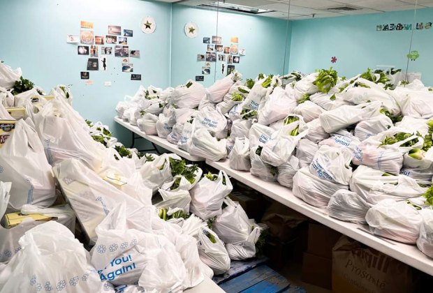 Free Turkey in NYC Salvation Army Harlem Temple Corps