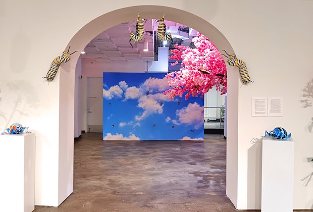 Imaginari Exhibit: Clouds