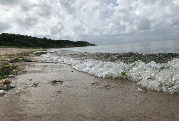 shoreline at Sunken Meadow State Park