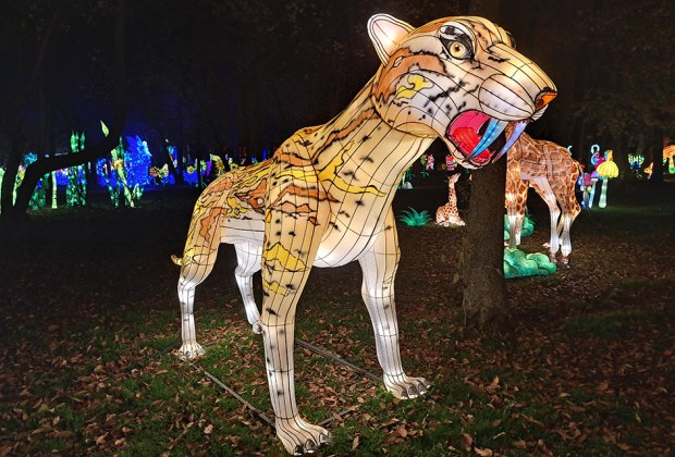 NYC Winter Lantern Festival Lights Up the Queens County Museum