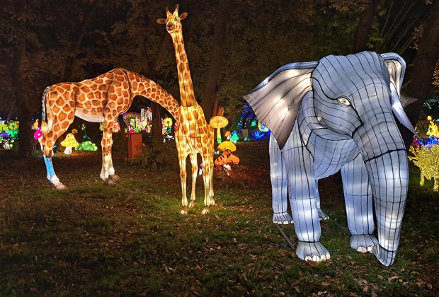 NYC Winter Lantern Festival Lights Up the Queens County Museum