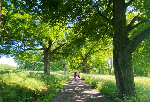 family on a trail in Rockefeller State Park