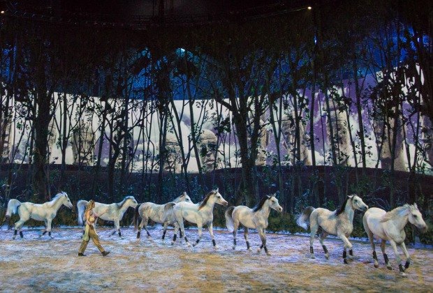 Cavalia Odysseo Horses And Acrobats Play In A Big White Tent In Camarillo Mommypoppins Things To Do In Los Angeles With Kids