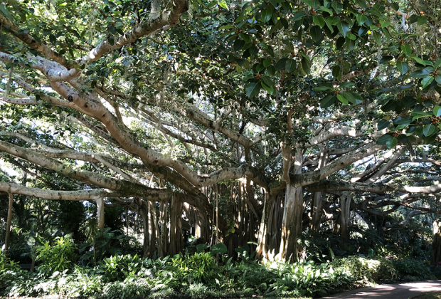 Legoland Florida Resort: Cypress Gardens