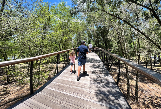  End of Summer Bucket: Bonnet Springs Park: Canopy Walk