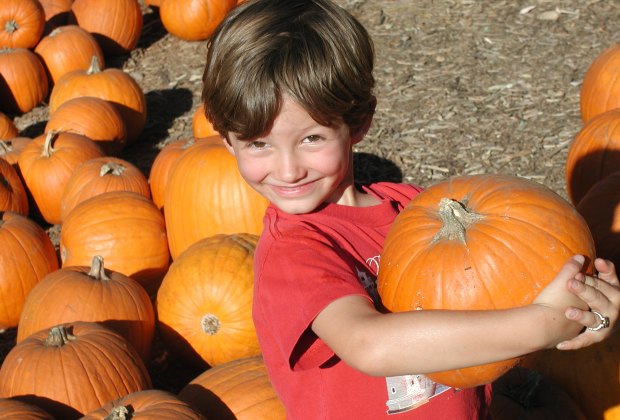 Chłopiec trzymający dynię w Palisades Pumpkin Patch