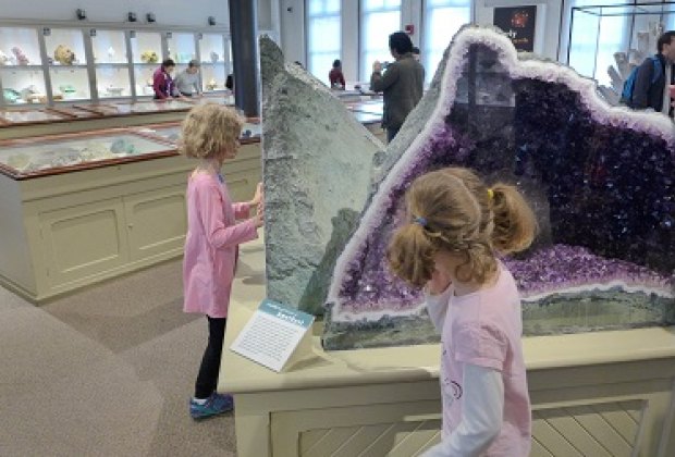 Visiting the Harvard Museums with Kids: Mummies, Glass Flowers & Totem Poles