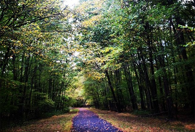 Patriots' Path is a scenic bike path