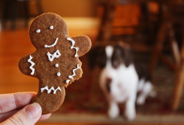 Best Christmas Cookie Recipes: Gingerbread men and women