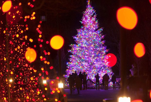 Open on Christmas in Philly: Longwood Gardens.