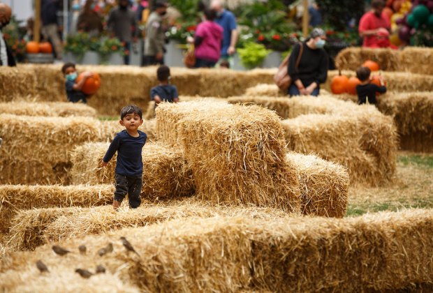 Dilworth Park Hay Maze