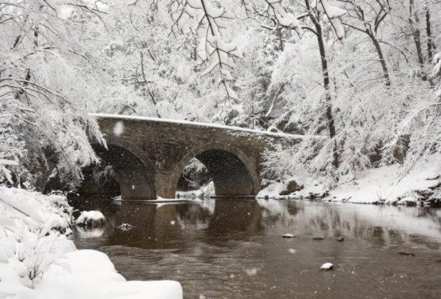 Wissahickon Valley Park.