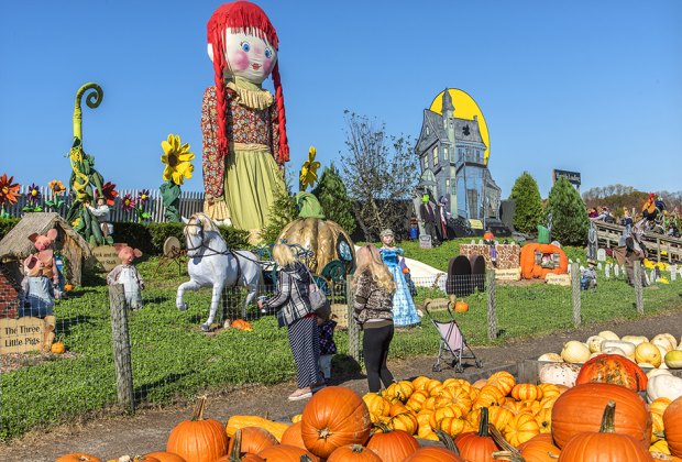 Linvilla Orchards 