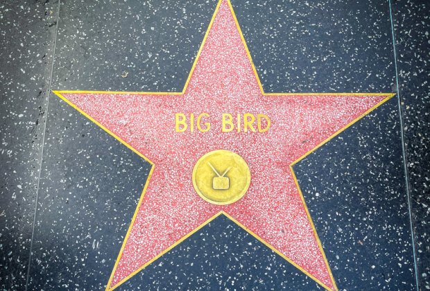 Big Bird's star on the walk of fame