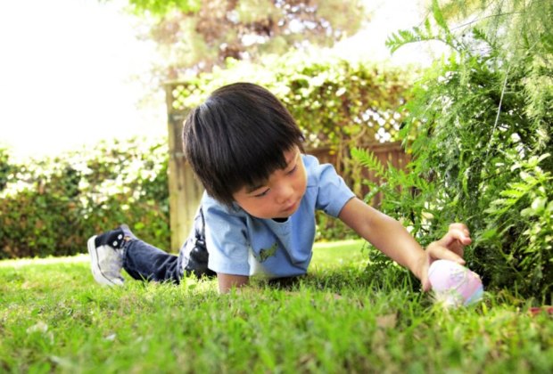 Easter Egg Hunt