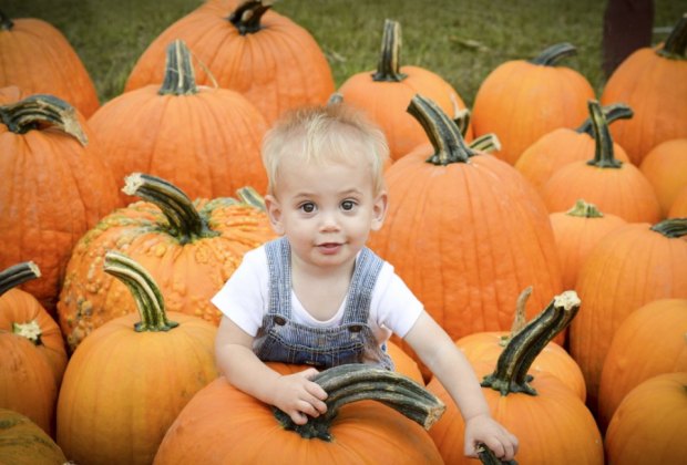 Image of child and pumpkins - Top Things To Do in CT this Fall