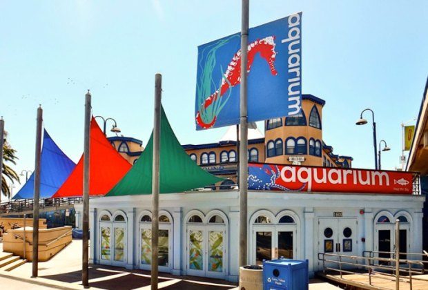 Heal the Bay Aquarium is something fun to do in Santa Monica with kids