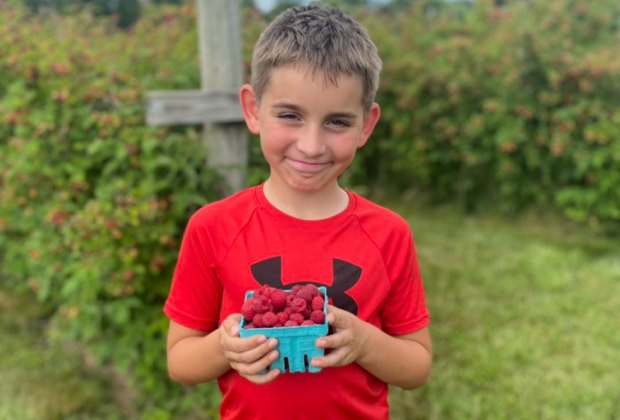 Photo of child holding raspberries - Berry Picking and Peach Picking at CT farms