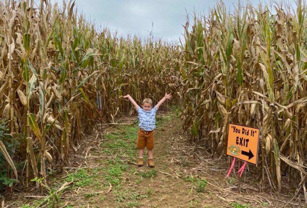 Jumbo's Pumpkin Patch Corn Maze