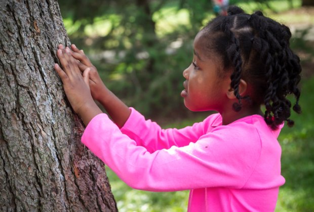 Fall activities in Chicago: Morton Arboretum